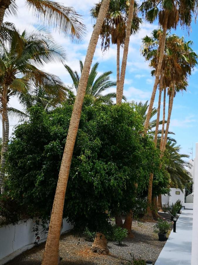 Estrella De Mar Διαμέρισμα Tarajalejo Εξωτερικό φωτογραφία